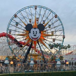 Meet your Posher, Peggy